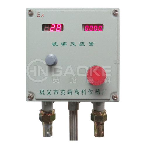 （英峪高科）RAT-50L 双层玻璃反应釜 反应器 厂家直销 真空 防爆 - 图0