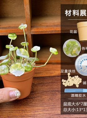 串珠盆栽DIY 珠子盆景手工永生多肉仙人掌 手工课 暖场活动材料包