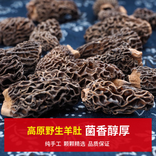 野生羊肚菌干货50g黑羊肚蘑全剪柄尖角羊肚菇云南特产野生菌包邮 - 图0
