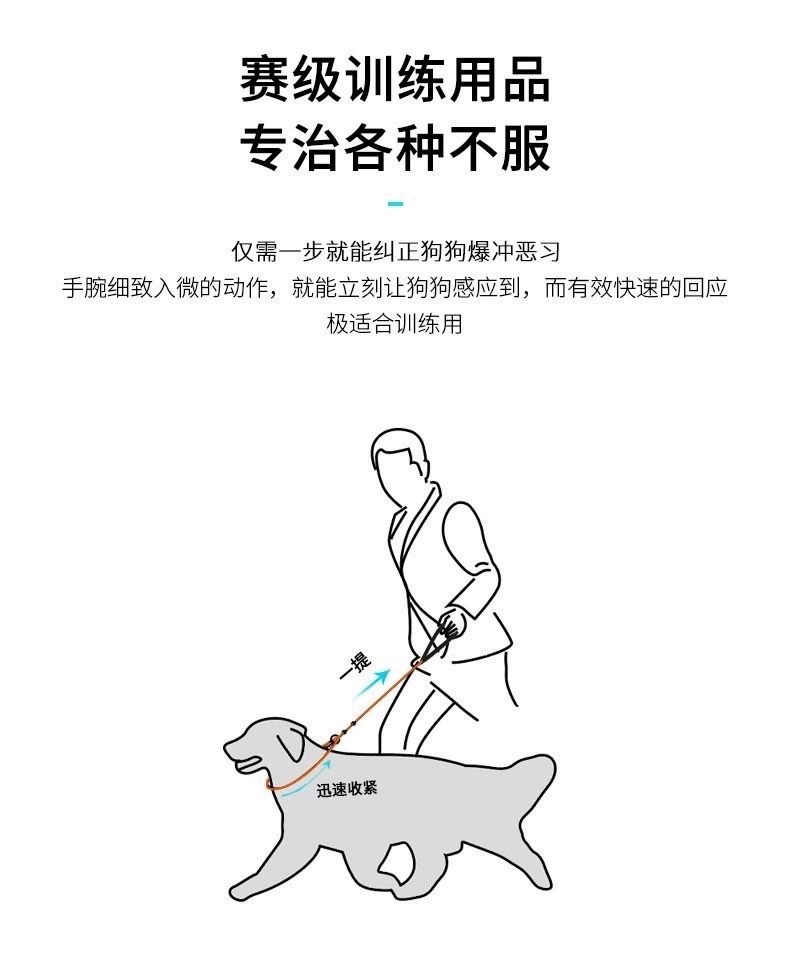 宠物P链P字绳训犬用品狗狗牵引绳遛狗绳子一拖二拖三可拆卸 - 图2