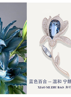 筱米奢华奥地利水晶女设计感胸针
