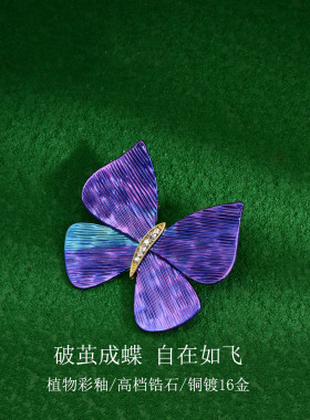 自由美丽蝴蝶胸针配饰教师节礼物