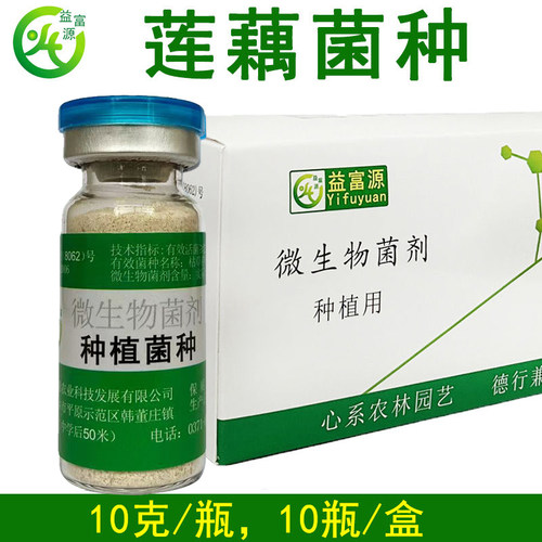 益富源莲藕菌种em莲藕宝专用有益菌藕带营养液微生物菌肥不伤鱼虾 - 图2