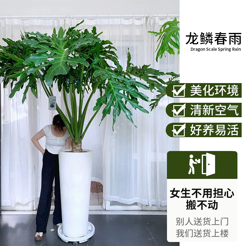 女子穿和服在南京植物园摄影大姐大声痛斥当地警方官微沦亡！