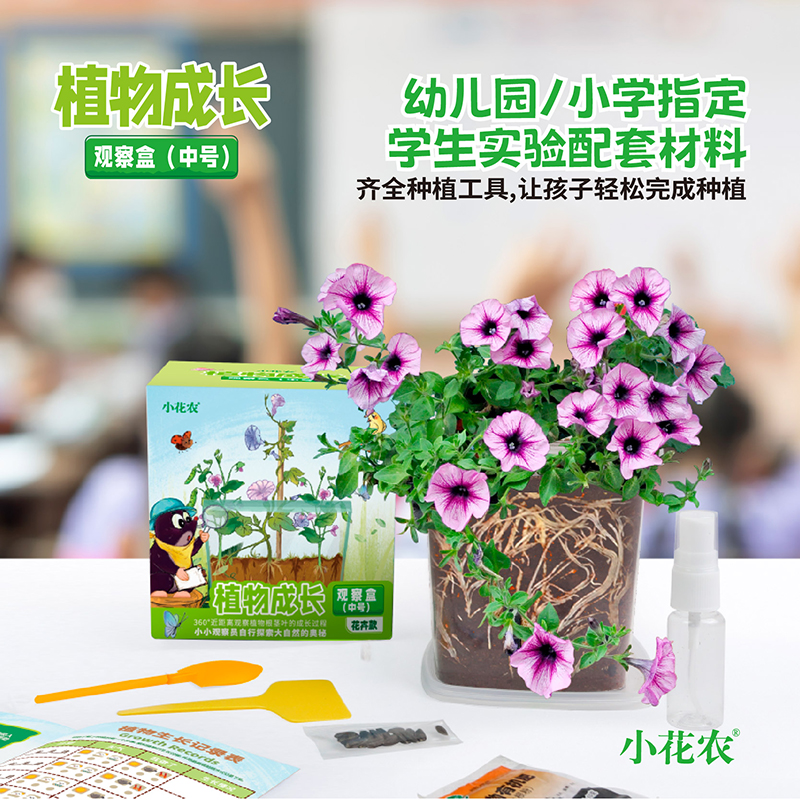 凤仙花种籽套盒小学生科学实验观察指甲花儿童种植小盆栽套装种子