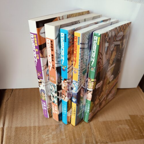 正版现货 家庭教师REBORN!小说版隐之弹 第1-5骸幻想.藏萨斯火焰.密鲁菲奥雷的危机.六吊花的消散 西蒙料理秀中文简体浙江少年儿童 - 图0