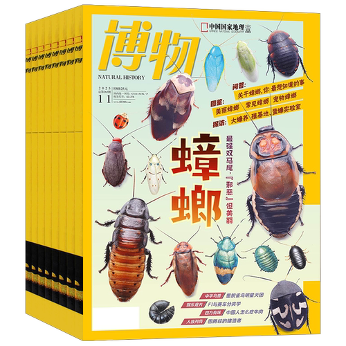 博物杂志2026年10月新【全年/半年订阅送好礼】25/24年1-12月怪怪宠物箱增刊中国国家地理君式科普张辰亮动植物昆虫科普百科过刊 - 图3