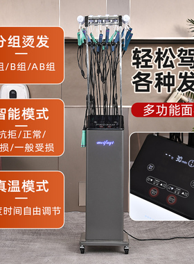 真温恒温烫发热烫机艾文芭菲