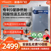 ten thousand and Xinpinan sleep-washing first-class energy saving silent water servo 16L gas water heater Electric domestic natural gas F9D