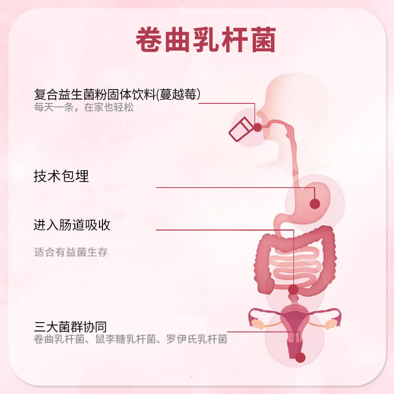 澳琳达澳洲进口蔓越莓罗伊氏乳杆菌 aurinda澳琳达益生菌