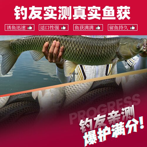 金龙甄鲜饵 春季黑坑野钓狂道鲫鱼鲜虾滑浓腥浓香型配方钓鱼饵料 - 图2