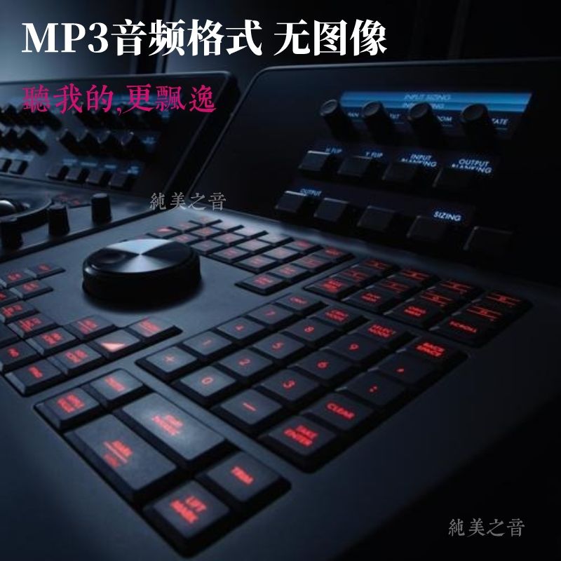 u盘存储重低音无损MP3高品质交谊舞曲广场舞专用舞厅优盘即插即用 - 图3