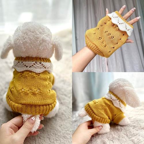 小狗狗衣服秋冬款宠物小猫咪冬季保暖柯基比熊泰迪幼犬幼猫小型犬 - 图0