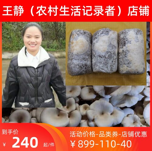 平菇菌种玉米芯种植平菇栽培三级种1包大包食用菌盆栽喷水出菇 - 图3