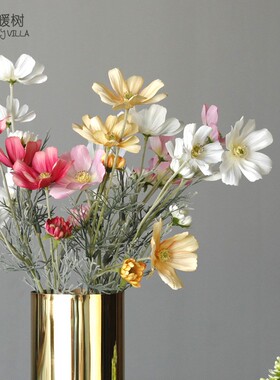 清新花艺菊花波斯菊格桑花格桑菊