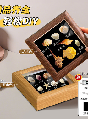 小红薯贝壳diy海螺收纳展示画框
