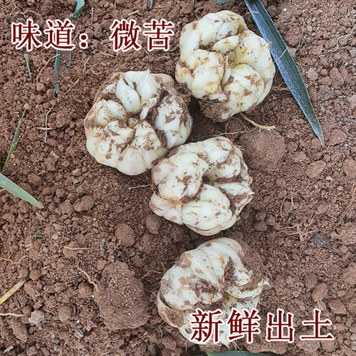 2026宜兴新鲜百合5斤现挖包邮苦味纯农家食用大白合3斤2斤百合 - 图2