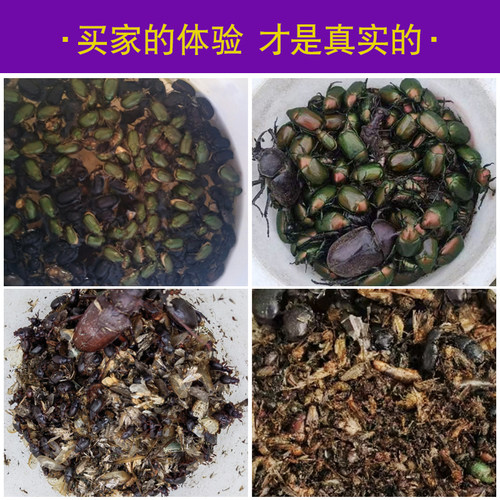 雪莱特黑光诱虫灯泡养殖农用户外鱼塘水产养蛙光源捕蝉蝼蛄紫光灯 - 图2