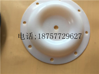 1 ນິ້ວ Shengbaide diaphragm pump diaphragm ຢາງພາລາ diaphragm PTFE diaphragm 286-008-365.286-015-604