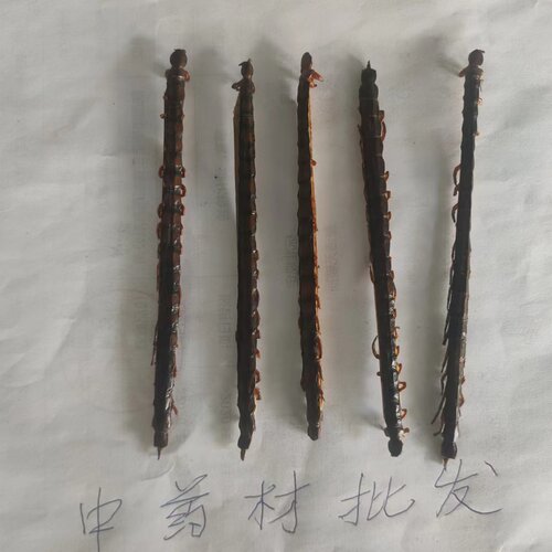 11cm公分蜈蚣干 蜈蚣皮 红头蜈蚣 蜈蚣 中药材足干 满百包邮 - 图0