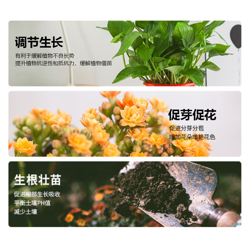 腐植酸植物通用营养液盆栽花卉观叶多肉绿萝植物浓缩有机液体肥料,淘宝优惠券,粉丝福利购,淘宝优惠卷