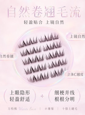 万特熊小雏菊单簇卷翘假睫毛