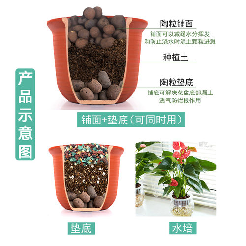 陶粒垫底陶粒花用阳台养花防烂根透气花卉陶粒铺面水培回填卫生间 - 图2