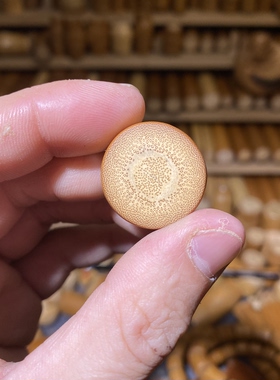 23.5-10mm红皮圆片，一物一链接，远山工实心玉竹手把件