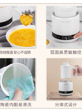 天际多功能陶瓷养生杯办公室mini宿舍电水杯全自动焖炖煮迷你1人