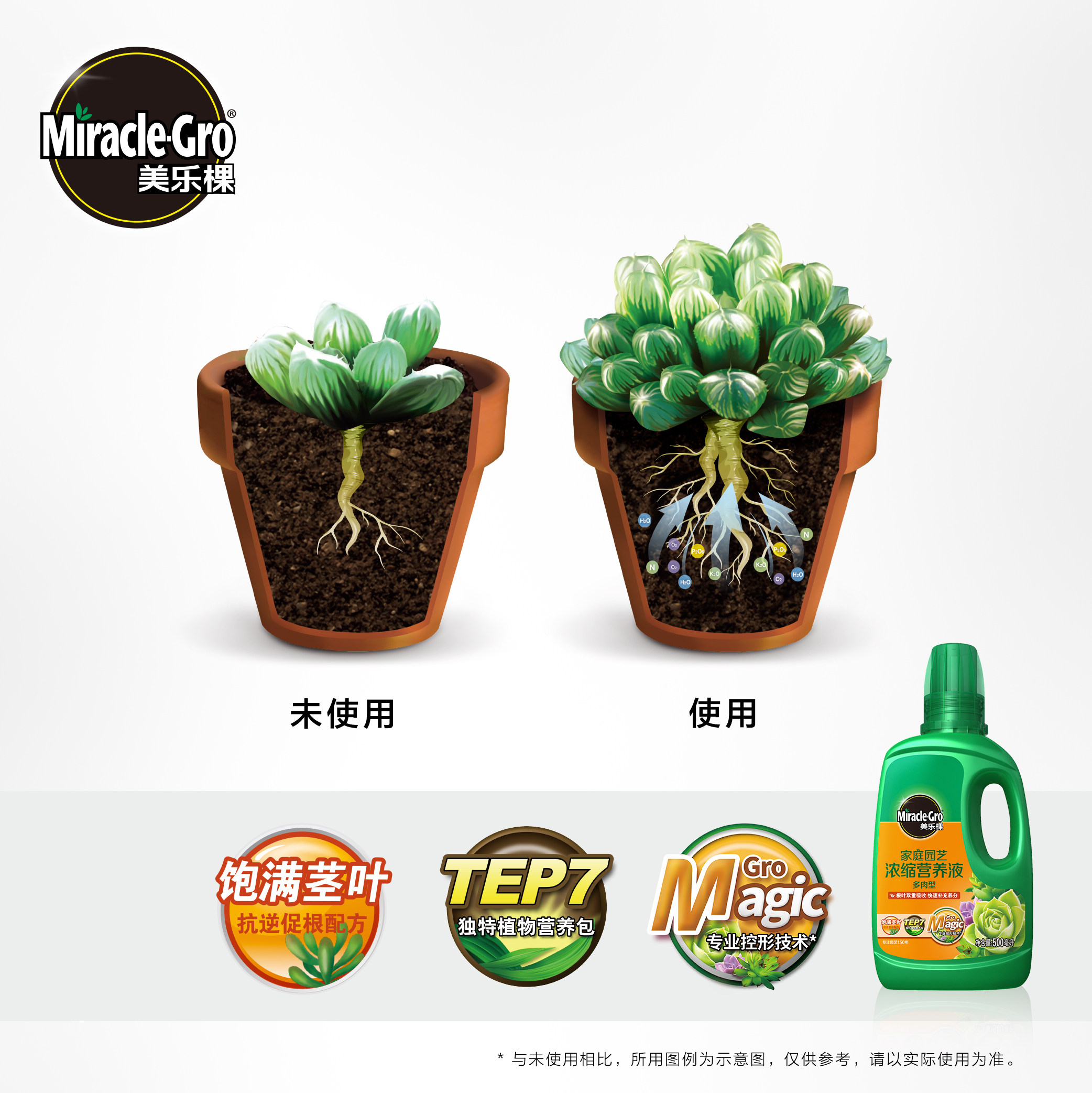 美乐棵多肉植物肥料肉肉专用营养液盆栽植物花卉浓缩液体叶面肥 小编推荐 Wepost 全民代运 马来西亚中国淘宝代运与集运专家