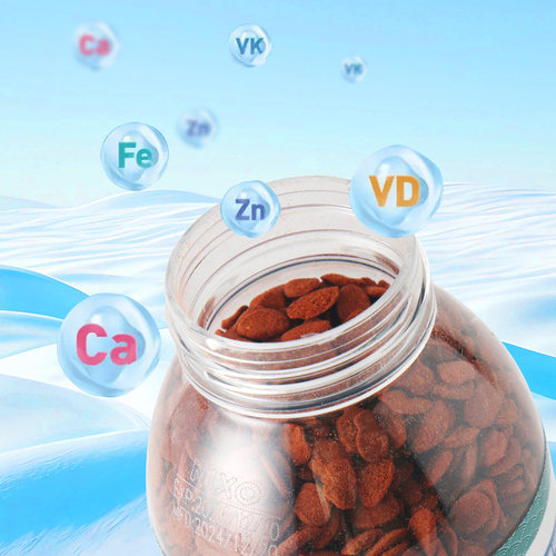 日索异型鱼饲料清道夫鼠鱼胡子大帆底栖鱼下沉沉底形鱼食原装瓶 - 图1