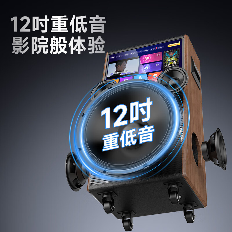 20% subsidy for Shanshui PQ129 outdoor karaoke speakers
