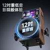 20% subsidy for Shanshui PQ129 outdoor karaoke speakers