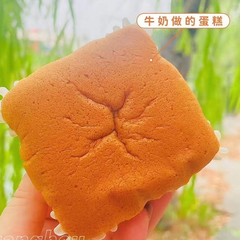 陈小晨水牛纯奶蛋糕450g网红松软糕点面包早餐零食点心学生营养