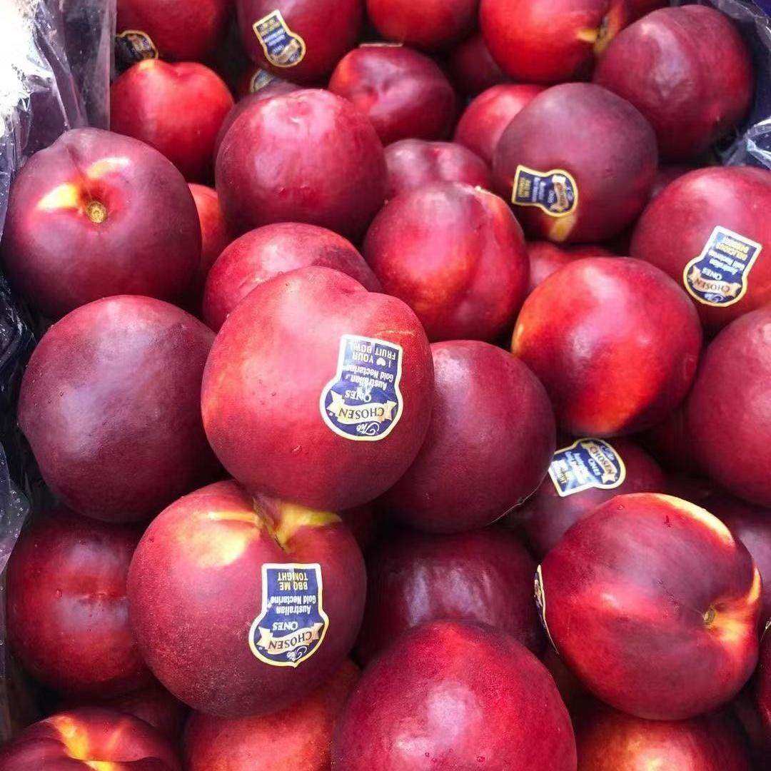 现货澳洲黄油桃金腰带大果澳大利亚进口黄肉桃子蜜桃新鲜孕妇水果,淘宝优惠券,粉丝福利购,淘宝优惠卷