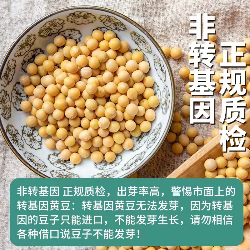 有机黄豆北大荒亲民大豆打豆浆东北新黄豆非转基因1kg杂粮粗粮-图1