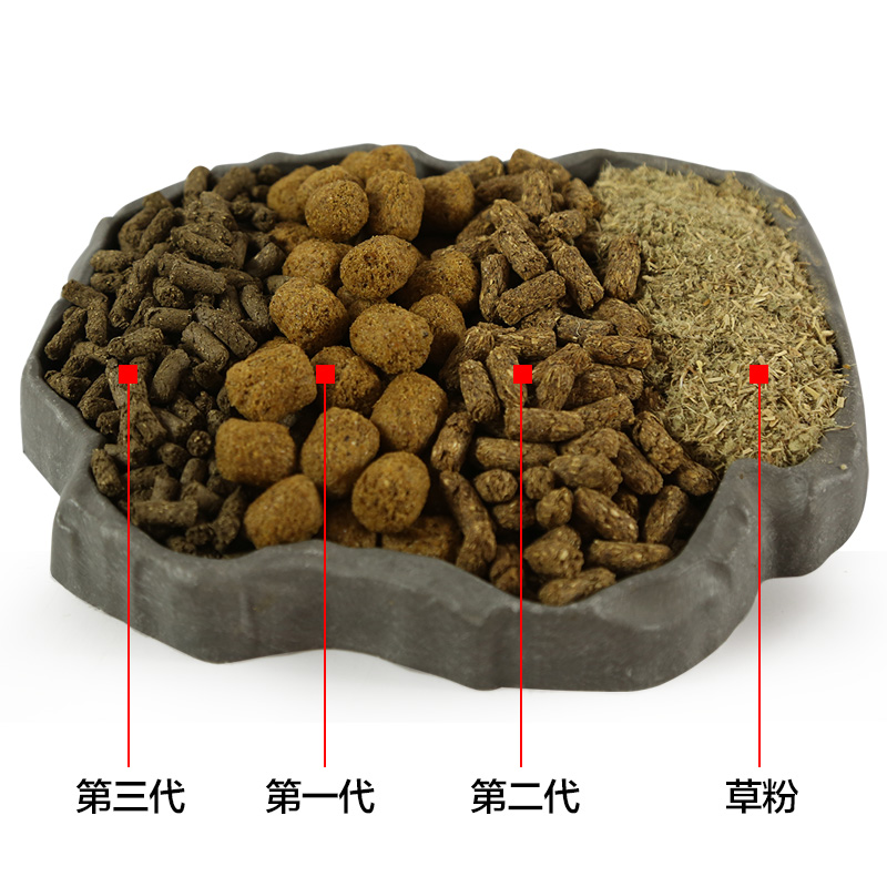 包邮陆龟粮高钙纤维苏卡达豹龟星龟缅甸龟食物陆龟饲料-图2