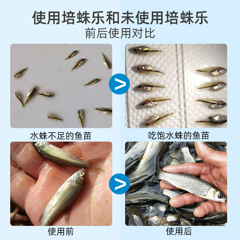 培蛛乐水蛛轮虫枝角类生物加州鲈鱼苗虾苗开口料微生物水花非水蚤-图0