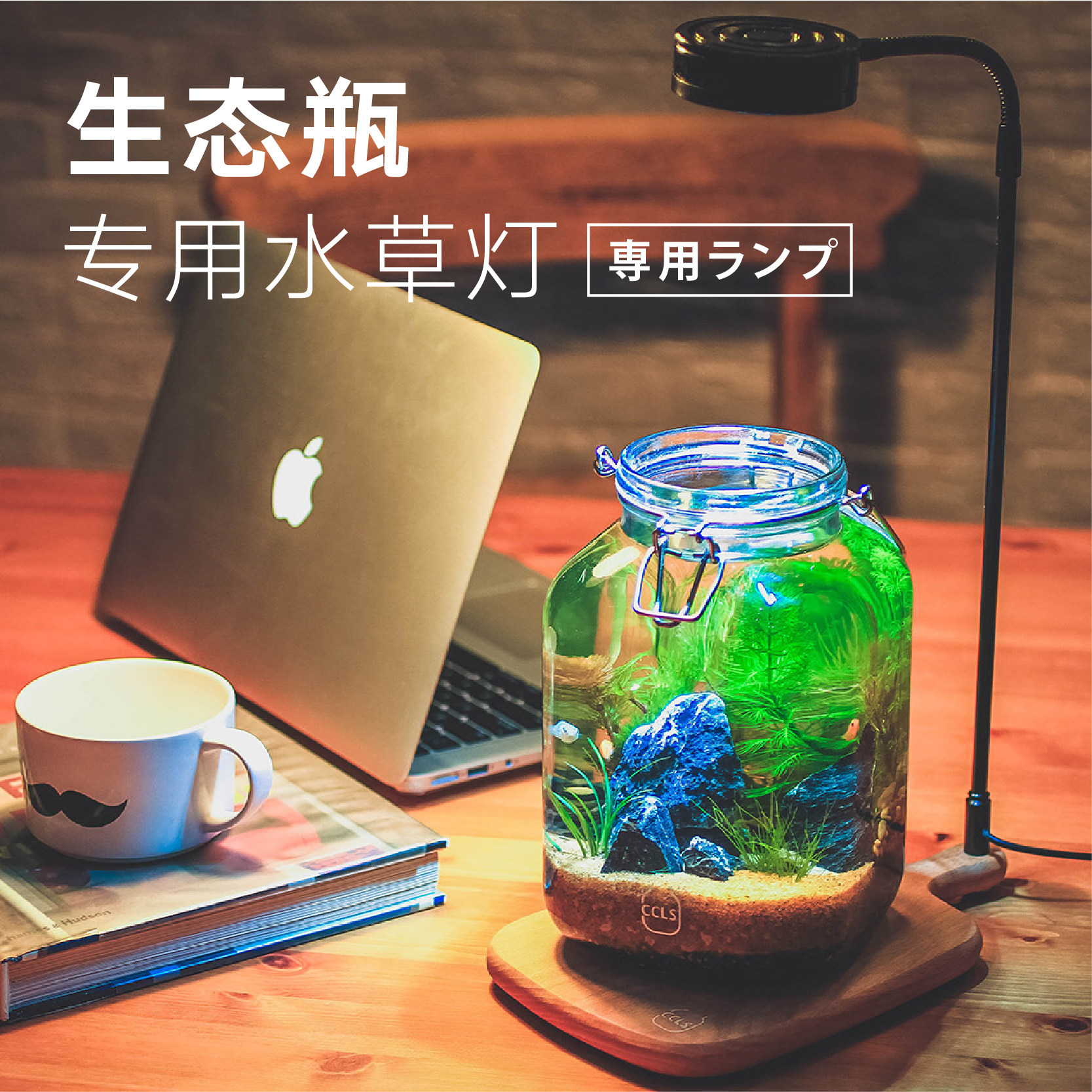 草草了事生态瓶水草专用灯桌面led小型植物照明灯小夹灯实木底座 趣品店