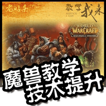 (Monthly Subscription) World of Warcraft WOW Mage Warrior Hunter Priest Monk Shaman Teaching