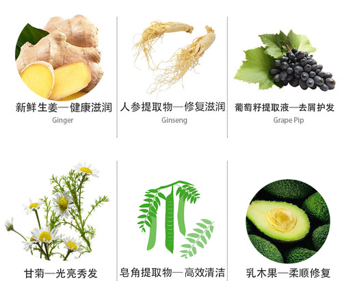 燕兰熹官方旗舰店洗发水护发素套装生姜首乌滋养洗发乳燕来熹正品 - 图2