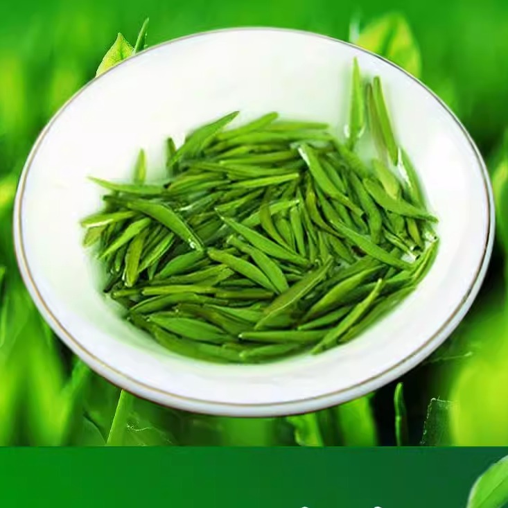 雀舌 2024新茶 绿茶 茶叶 明前雀舌茶春茶叶翠芽毛尖茶特级嫩芽 - 图2