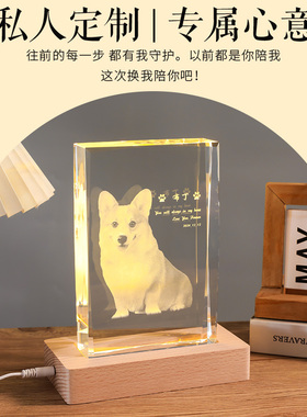 宠物离世纪念品定制狗狗猫咪照片diy周边水晶相册送朋友创意礼物