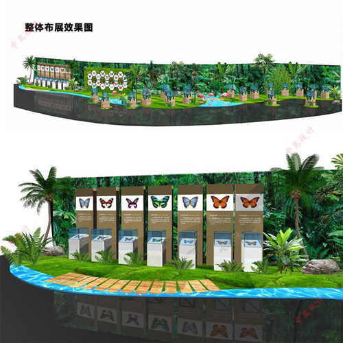 蝴蝶标本展 昆虫展 活体昆虫展 施工标本馆施工博物馆 蝴蝶馆 - 图0