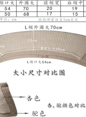 假领子秋冬韩版气质大翻领洋气