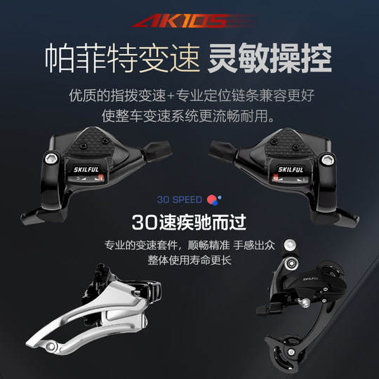 Philip's new entry-level city road bike