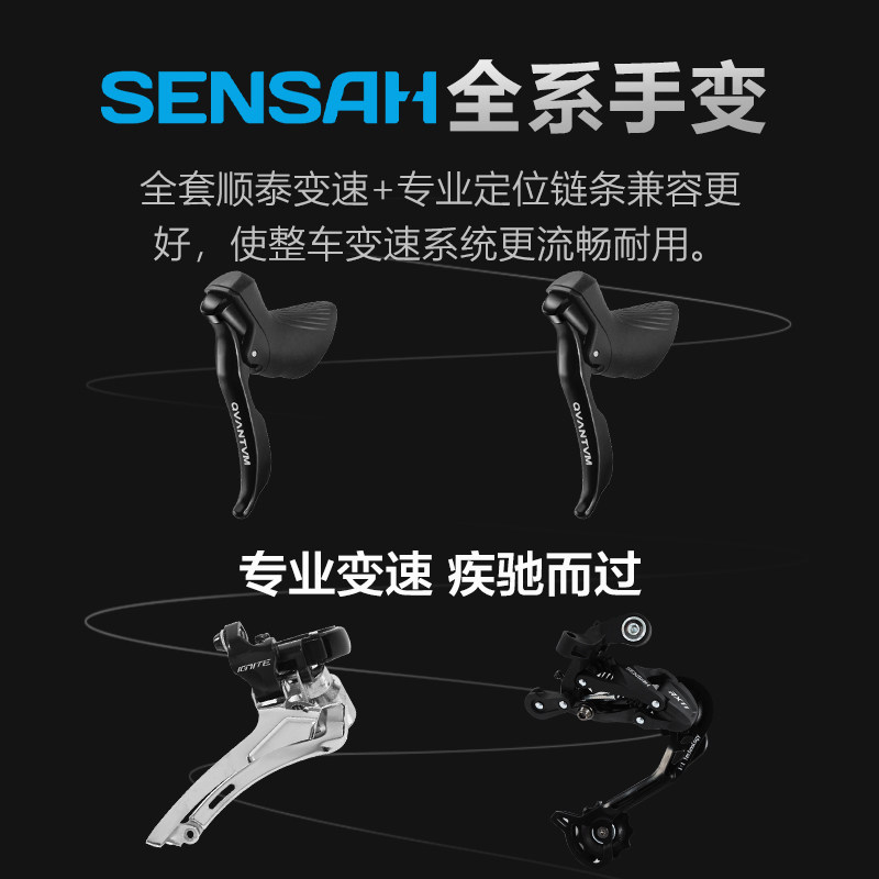  phillips公路自行车