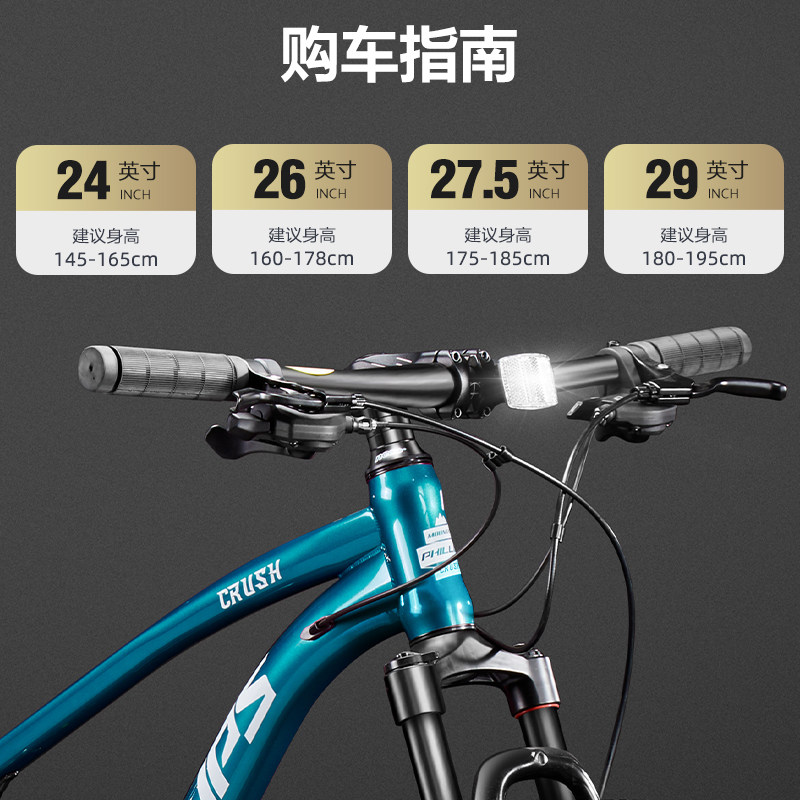  phillips山地自行车