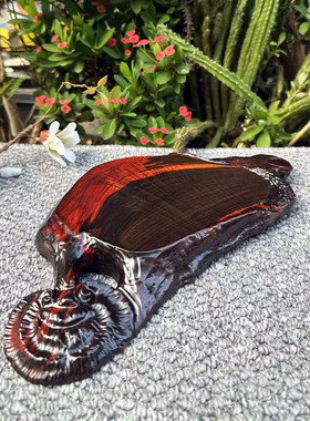 大红酸枝整木水波纹灵芝茶托32×14.5×3交趾黄檀红木干泡台果盘