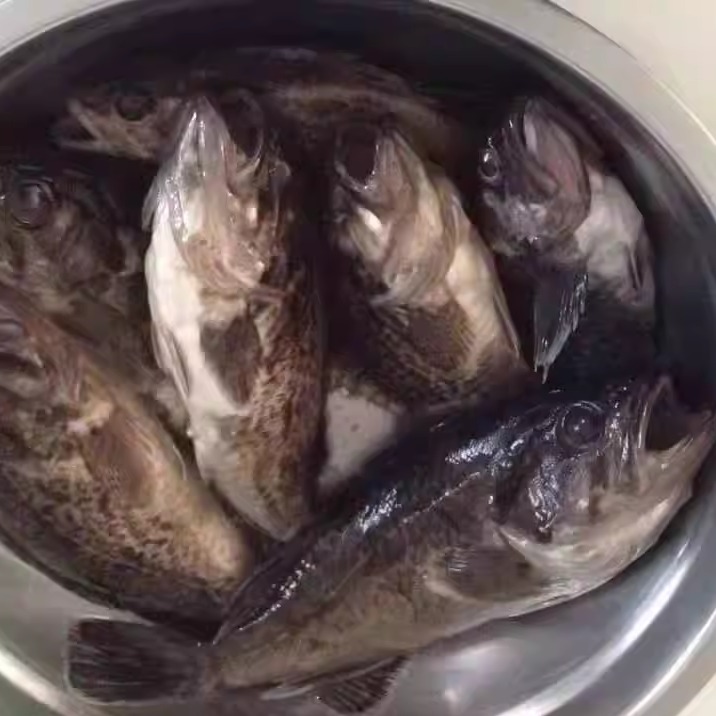 大连黑鱼海鱼山东黑头鱼海鲈鱼科黑裙鱼冰冻货二斤小鱼下奶做鱼汤 - 图0